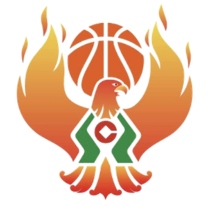 https://img.chinadhlc.com/img/basketball/team/09b49d34027e0409a4de3295f8c71a2d.png