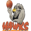 https://img.chinadhlc.com/img/basketball/team/4ad56c57b7214942a503892b9f111d6e.png