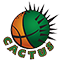 https://img.chinadhlc.com/img/basketball/team/8dea9aa824af406594f2581dc8d048fd.png