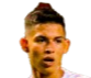 https://img.chinadhlc.com/img/football/player/256dcd3c814bd8fea3fab644d67a539f.png