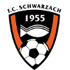 https://img.chinadhlc.com/img/football/team/488370880779534e48b5b2d5243fb6f6.png