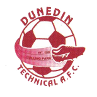 https://img.chinadhlc.com/img/football/team/94cfab0be8aab0fc0466a24c4984df42.png